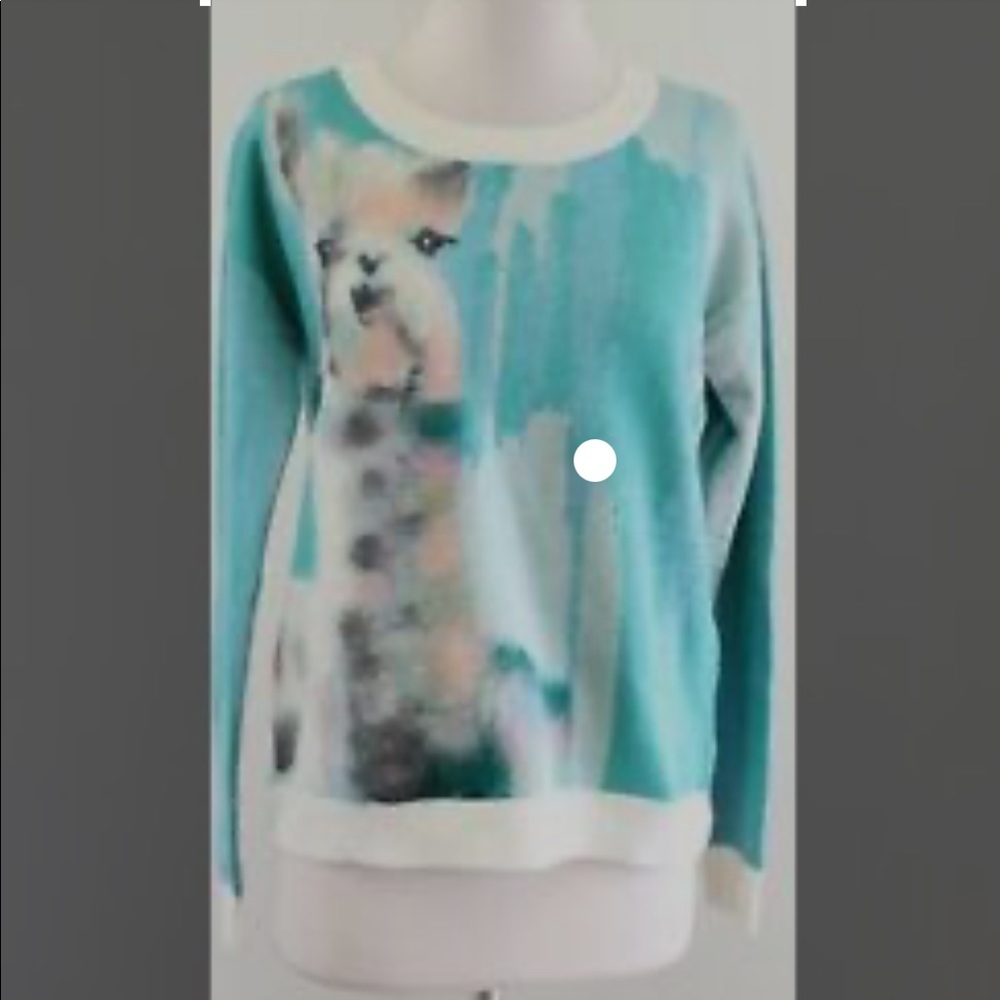 Anthropologie Lauren C Walcott Artwork Wool Blend Llama Sweater